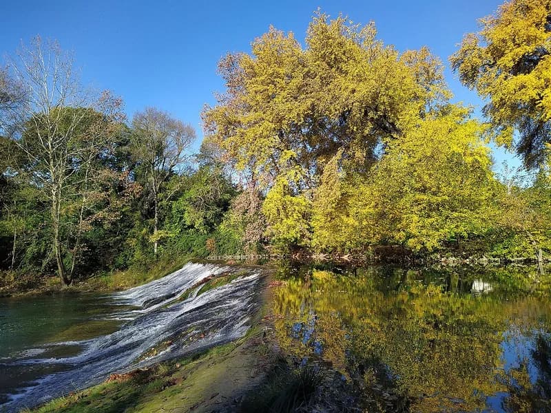 Le Lez franchit la pessière du moulin des Guilhems à Castelnau-le-Lez, entre des arbres aux feuilles d'automne qui se reflètent dans l'eau