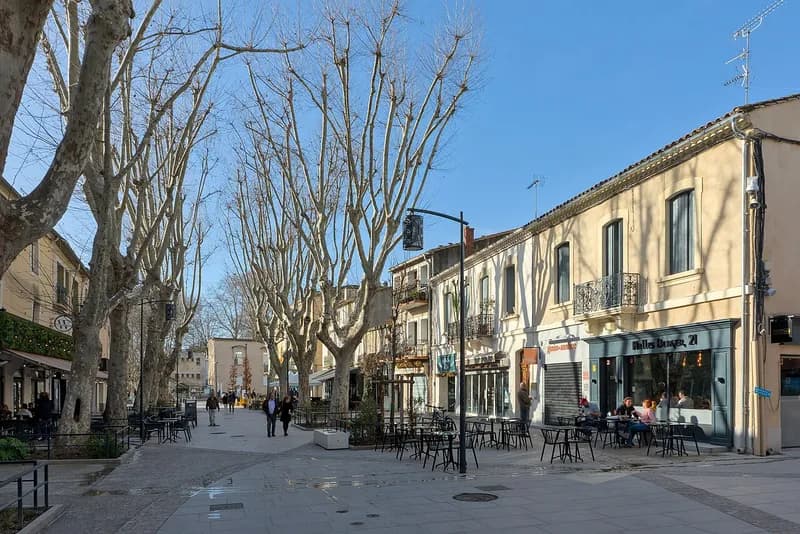 Platanes et terrasses de café sur le cours Gabriel-Péri, dans le centre de Lunel