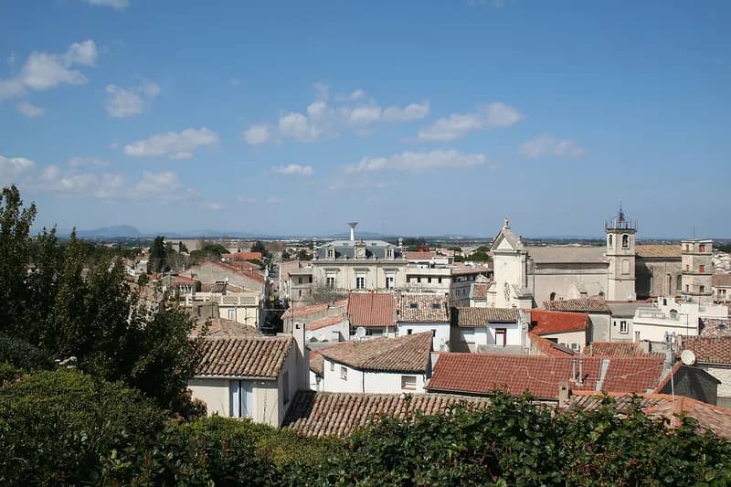 Vue générale de Mauguio vers le nord depuis la motte, toits de tuiles et clocher, avec le pic Saint-Loup à l'horizon